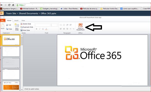 Figuras 25. Microsoft SharePoint Office Web App.