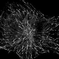 protein) Bleb Microtube Tips 4000 3500 3000 2500 2000 N = 40000 mean vel = 90.