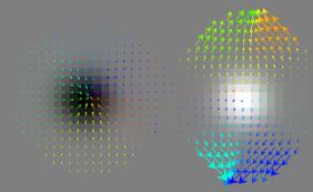 vvv OF vector fields 1 pixel