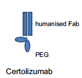 Anti TNF de 2º generación Certolizumab Fragmento FAB de AC monoclonal anti TNF humanizado.