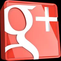 Google actualmente es el Motor de Búsqueda más completo en internet y tiene su propia red social conocida como Google +.