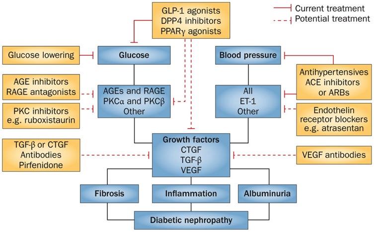 Nuevos enfoques Aminoguanidine: efectos adversos Fase