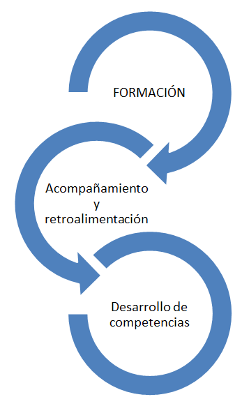 De forma cíclica el modelo de formación se sustenta en el binomio formación-evaluación y a tal efecto habrá de considerarse: 1.