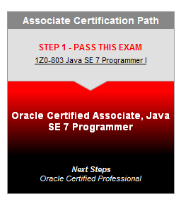 2) ORACLE CERTIFIED ASSOCIATE, JAVA SE 7 PROGRAMMER La OCA, Java SE 7 certificación del programador está diseñado para personas que poseen una base sólida en el lenguaje de programación Java.