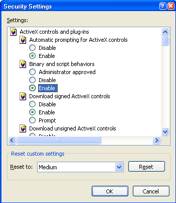 Figure 3-2 ActiveX controls and plug-ins installed Los controles ActiveX de forma automática del sistema a la caja fuerte marcado para las secuencias de comandos de los controles ActiveX para