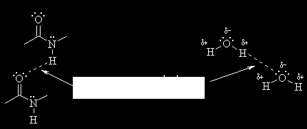 19 Fig.12 Ejemplos de puentes de hidrógeno Actividad de Práctica 1.