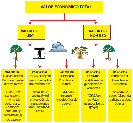 Ilustración 3: Valor Económico Total y sus componentes Fuente y Elaboración: de Groot et al., 2007.