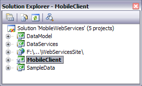 MobileClient: es la aplicación cliente móvil, la caché y el conjunto de clases proxy para el acceso a servicios.