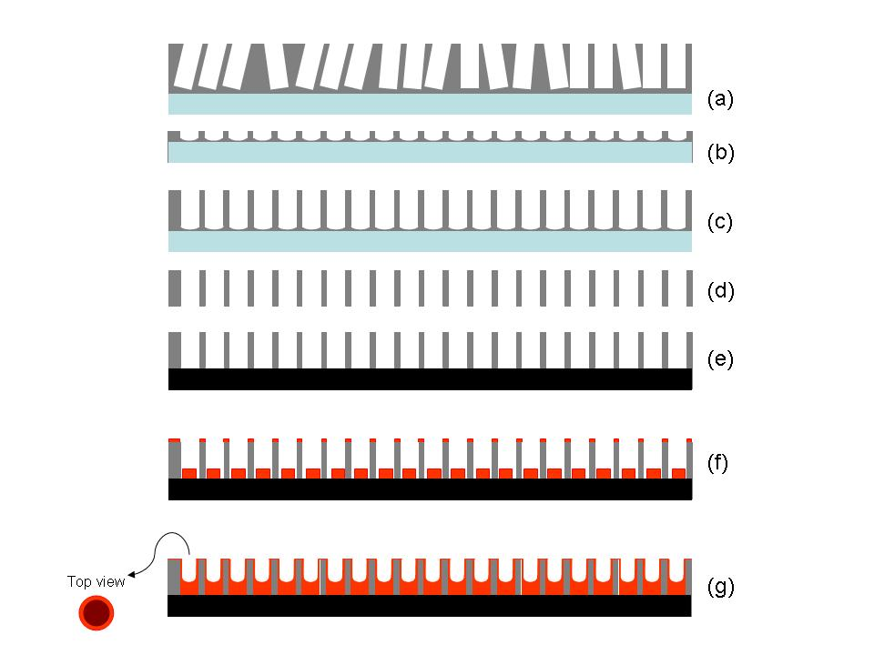 305 6 Métodos de Síntesis Figura A.10. Esquema de la preparación de la membrana AAO apta para el crecimiento de CNTs sobre ella. (a) Alúmina obtenida tras la primera anodización.