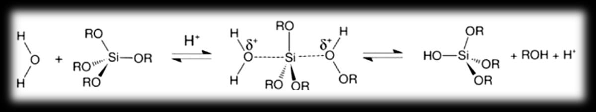 forma una especie OHSi(OR) 3, ésta tendrá más tendencia a condensar que a seguir hidrolizándose como se puede ver en las reacciones (c) y (d): Reacciones desarrolladas a ph <2.