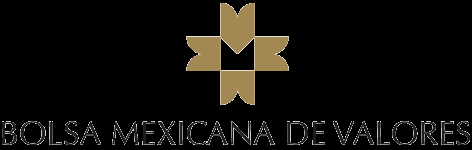 Bolsa Mexicana de Valores ( Grupo BMV ) Accionistas antes de la OPI (24 Casas de Bolsa y BancosLocales) Nuevos Accionistas (Tenencia Pública) 53.30% 46.