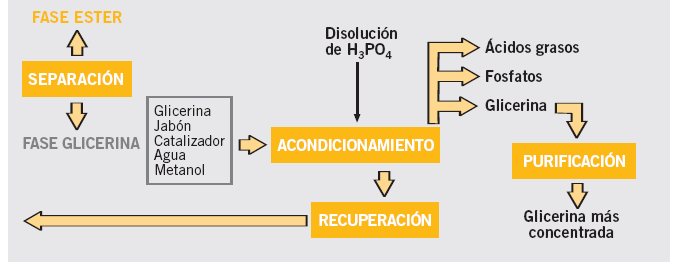 Manual de Biocombustibles Sección 1 Al término de la reacción de transesterificación son varios los subproductos que se encuentran en el reactor, y que habrá que separar de los ésteres metílicos o