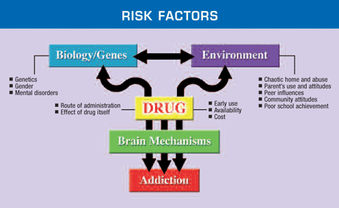 FACTORES DE REISGO INFORME SG-OEA Source: NIDA/NIH