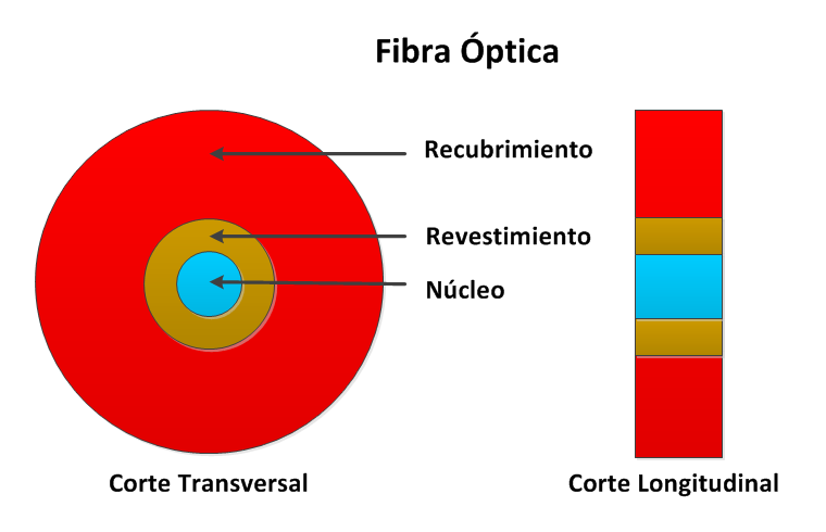 La fibra, como se ve en la figura 1.