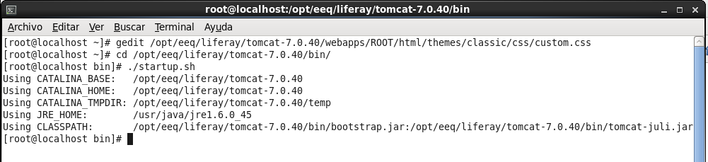 Iniciar el servicio tomcat mediante el comando: # cd /opt/eeq/liferay/tomcat-7.0.40/bin/ #./startup.