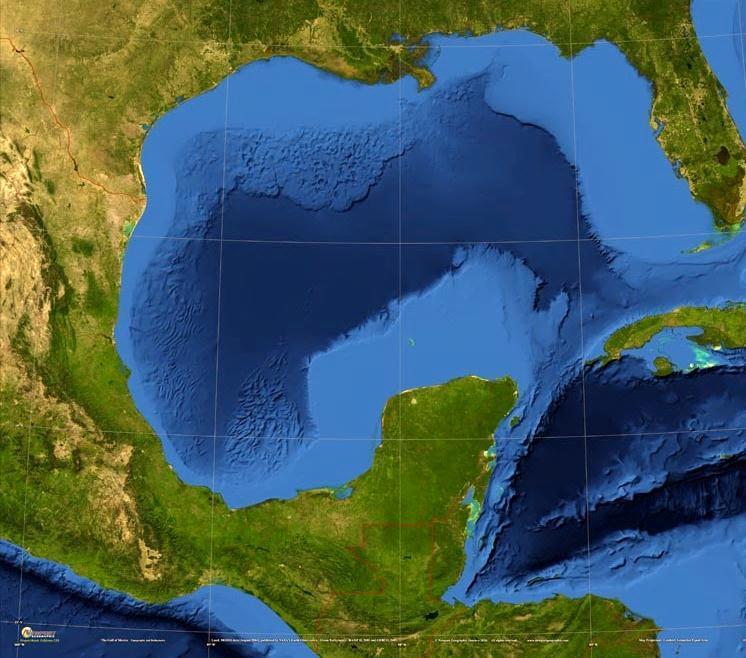 Looking to the future through strong regional partnership The Gulf of Mexico Large Marine Ecosystem Partnership HARTE RESEARCH INSTITUTE Texas A&M Corpus Christi CINVESTAV Tecnológico (Tamaulipas)