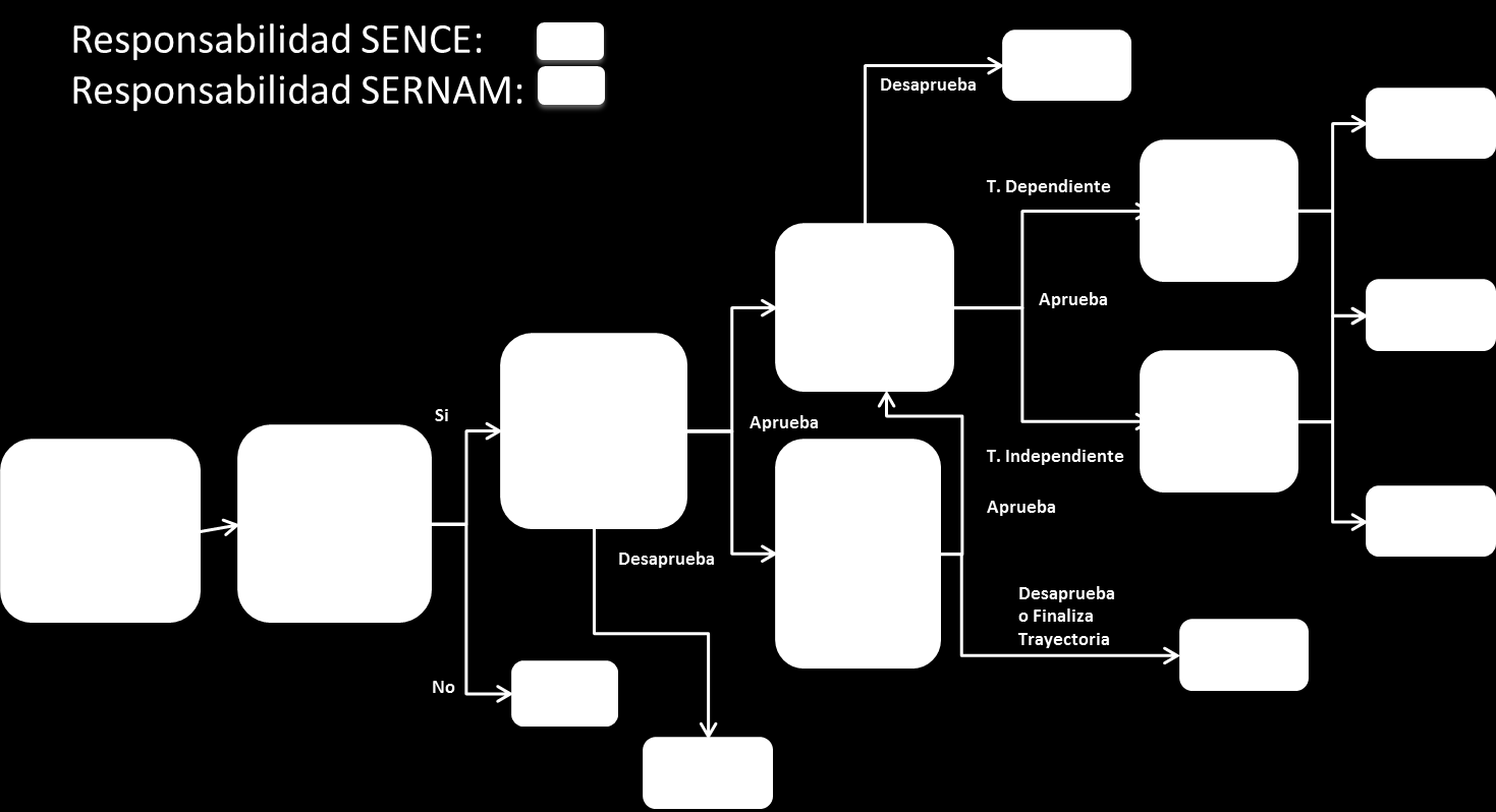 7. Descripción del Programa Completo (considerando etapas de responsabilidad de SERNAM) A diferencia de otros programas, este programa se caracteriza por tener una vinculación directa en su ejecución