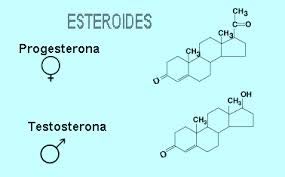 c) CAROTENOIDES: Tienen consistencia aceitosa y están presentes en las plantas como pigmentos rojos, anaranjados y amarillos llamados carotenos.