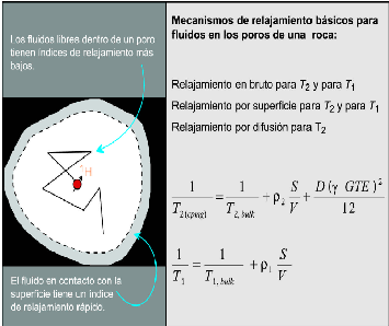 CAPÍTULO 1. TEORÍA DE RESONANCIA MAGNÉTICA NUCLEAR (RMN) De las ecuaciones 1.15 y 1.16 (Coates, Xiao & Prammer, 1999 (A)) mostramos los principales mecanismos de relajación: 1.15 1.16 La figura 1.