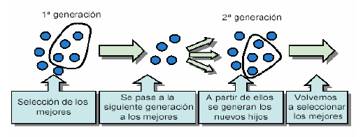 Figura 3. Esquema de un Algoritmo Genético Fuente: CASTRO VENTURA, Yanina Katherine; CERNA ALVARADO, Rolando Carlos; ZUTTA MALAGA, Nelly Jasmín. Algoritmos Genéticos.