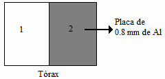 3 Fig.3: Posicionamiento de los elementos de prueba para el cálculo de RCR.