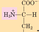 DESAMINACIÓN.-Consta de dos etapas con objeto de eliminar el grupo amino de los aminoácidos y convertir los esqueletos carbonados en intermediarios comunes A) TRANSAMINACIÓN.
