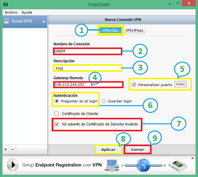 3.-Realizar los siguientes pasos en la ventana de configuración de la conexión del cliente VPN (No colocar las comillas) (Figura 13). 1. Seleccionar la opción VPN SSL. 2.