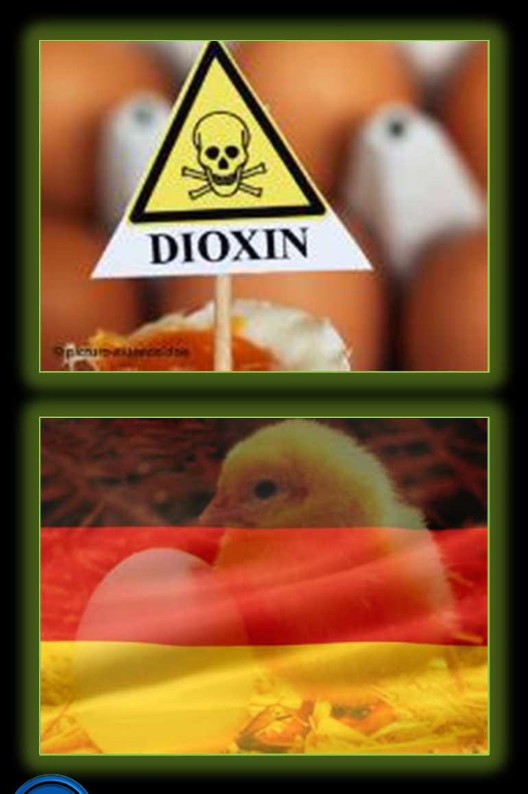Producción Primaria Insumos Dioxinas y Balanceado: Alemania 4,700 granjas cerradas 150,000 tons balanceado Huevos(Procesados) Carne de Cerdo
