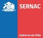 Pertenencia Comisiones y Membresías Chile Comisión de Responsabilidad Social para el Desarrollo Sostenible, Ministerio de Economía, Fomento y Turismo-Gobierno de Chile Consejo Asesor Programa de