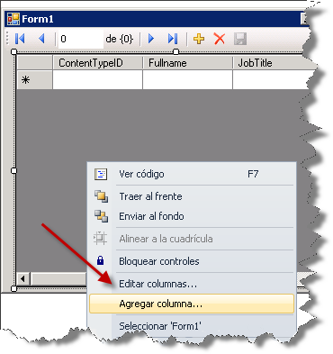 Figura 23 - Ventana de Windows Forms y DataGrid Employees 9.