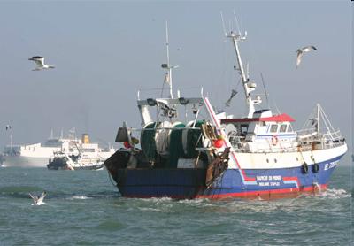 17 gallego La terminología de la pesca francés pesca pêche marisqueo acuicultura marisqueo a pé marisqueo a