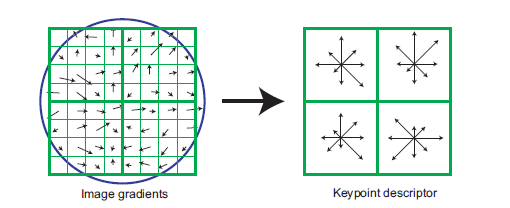 4.- Descripción del keypoint. A partir de las magnitudes del gradiente se calculan los descriptores del keypoint.