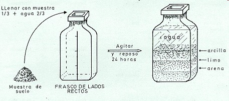 CARACTERÍSTICAS: TEXTURA (A) Arenoso (< 10 % arcilla) (B) Franco arenoso (< 10 %) (C) Limoso (< 10 %)