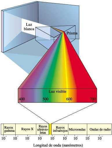 Naturaleza de la luz Pigmentos y clorofila Los