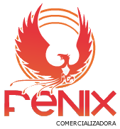 CASO PRÁCTICO COMERCIALIZADORA DE PLÁSTICOS FENIX COMERCIALIZADORA FENIX se estableció hace 20 años en la ciudad de Quito, ubicada