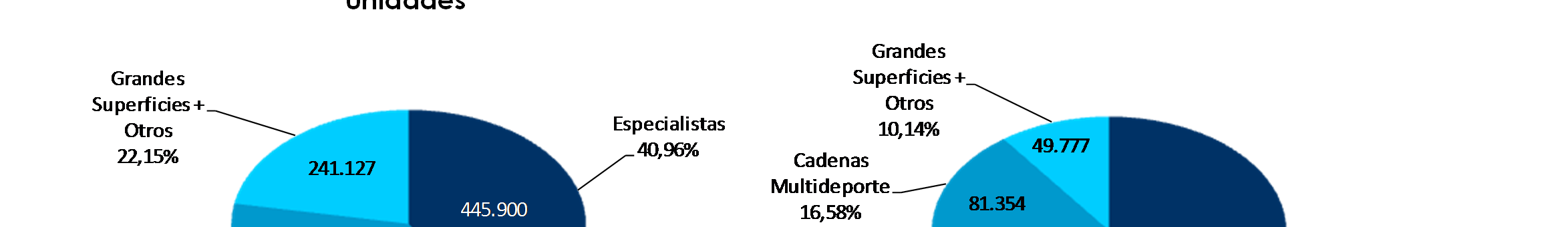 Las cadenas multideporte, con 81,4 millones de euros, representan el 16,58%, y las grandes superficies de alimentación junto a El Cortes Inglés, con 49,7 millones de euros, el 10,14% restante.