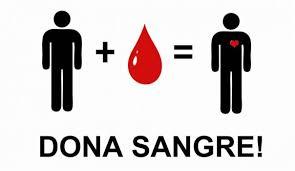 POR QUÉ ES TAN IMPORTANTE LA SANGRE? Porque sin sangre no hay vida.