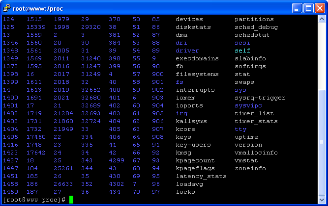 Servicios básicos b Cliente ssh Linux Puede ejecutar directamente el comando ssh $ ssh <equipo>