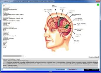 Neuro Anatomía & Sistemas y Aparatos La neuroanatomía es el estudio de la estructura y la organización del