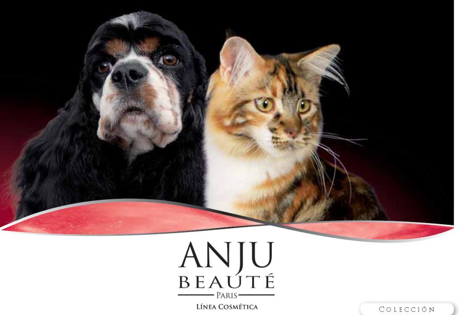 Línea cosmética completa y lujosa de champús y tratamientos de belleza para gatos y