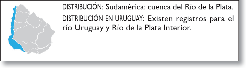 Sistemas acuáticos Uruguay Distribución Elaboración de la distribución probable por cuencas y río