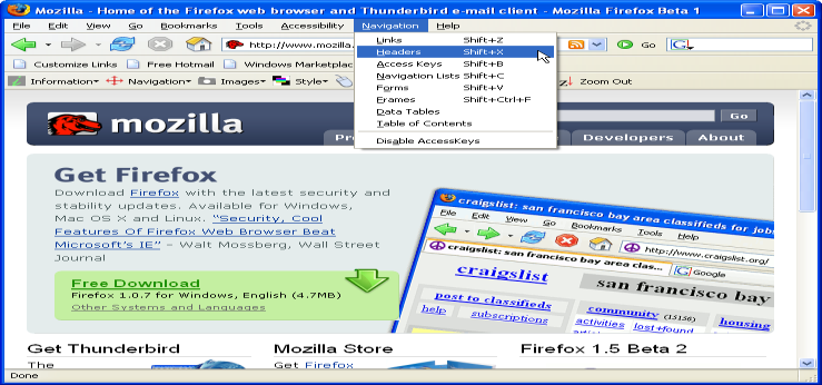 Barras de herramientas Para facilitar la revisión de accesibilidad también se pueden instalar herramientas en los diferentes navegadores web.