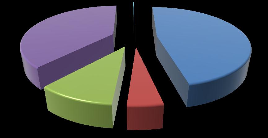 Participación porcentual Gráfico 4.