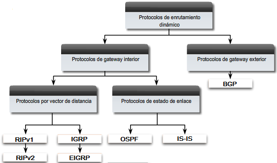 RIP: un protocolo de enrutamiento interior por vector de distancia IGRP: el enrutamiento interior por vector de distancia desarrollado por Cisco (en desuso desde 12.