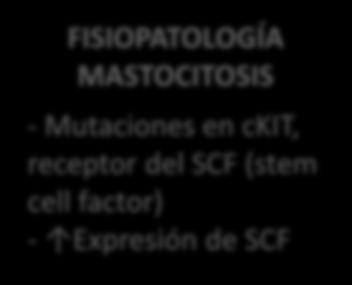 FISIOPATOLOGÍA MASTOCITOSIS - Mutaciones en ckit, receptor del SCF (stem cell factor) - Expresión de