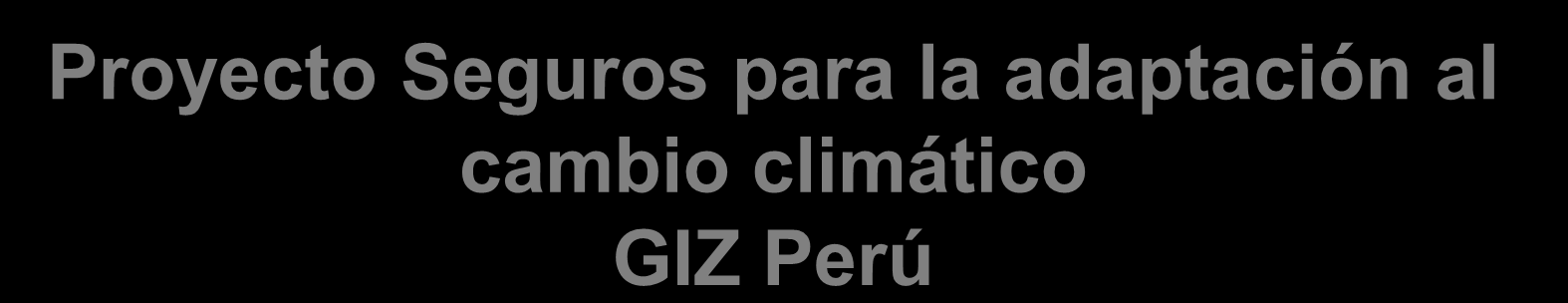 Proyecto Seguros para la adaptación al cambio climático GIZ Perú