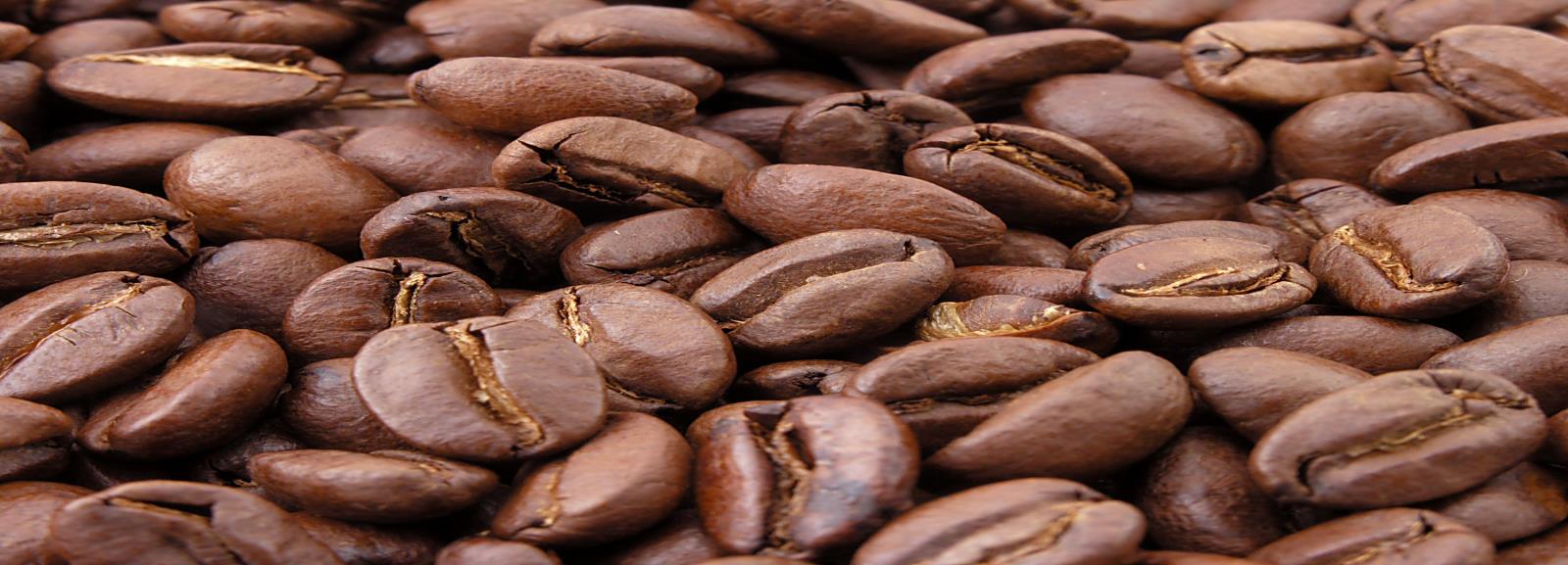 LA PRODUCCIÓN DE CAFÉ EN COLOMBIA 214 Resumen: La producción de café en Colombia durante 214 ha sido favorable, gracias al proceso de renovación de cafetales, se recuperó el nivel de los diez
