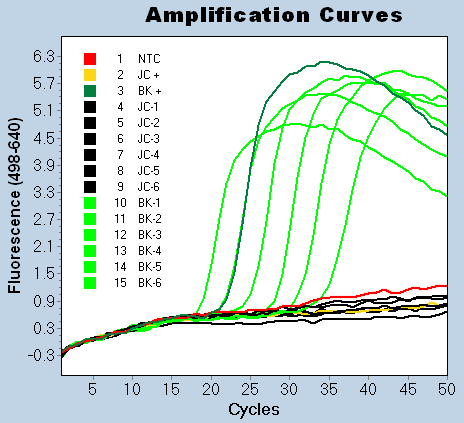 8.5.3 Análisis de amplificación: Instrumentos para placas Visualice los datos de la amplificación del BKV en LC640 y de la amplificación del JCV en LC690.
