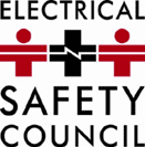 EL GRUPO ASCERTIVA Electrical Safety Council Organización sin fines de lucro Enfocada a reducir el nº de accidentes debidos a la electricidad www.esc.org.uk ASCERTIVA Group, ltd.