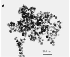 Transmitancia [u.a.] CICATA Altamira Fundamento teórico Métodos de preparación Figura 2-4. Micrografía del gel de BaTiO 3 a partir de acetatos y TPOT secado a 100 C (estudio en la etapa del gel).